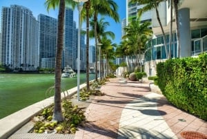 Juweeltjes van Miami Downtown Wandeltour