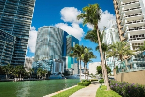 Visite à pied des joyaux du centre-ville de Miami