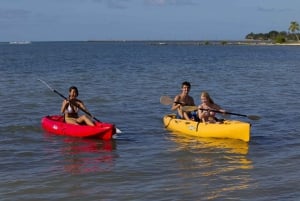 Go Miami Explorer Pass: Over 28 Tours And Attractions