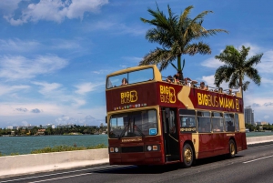 Go Miami Pass: Save up to 55% on Top Attractions