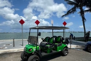 Golf Cart Rental Miami 6 Hours