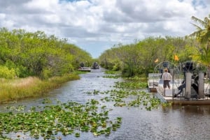 Halvdag Everglades Airboat Tours och transport