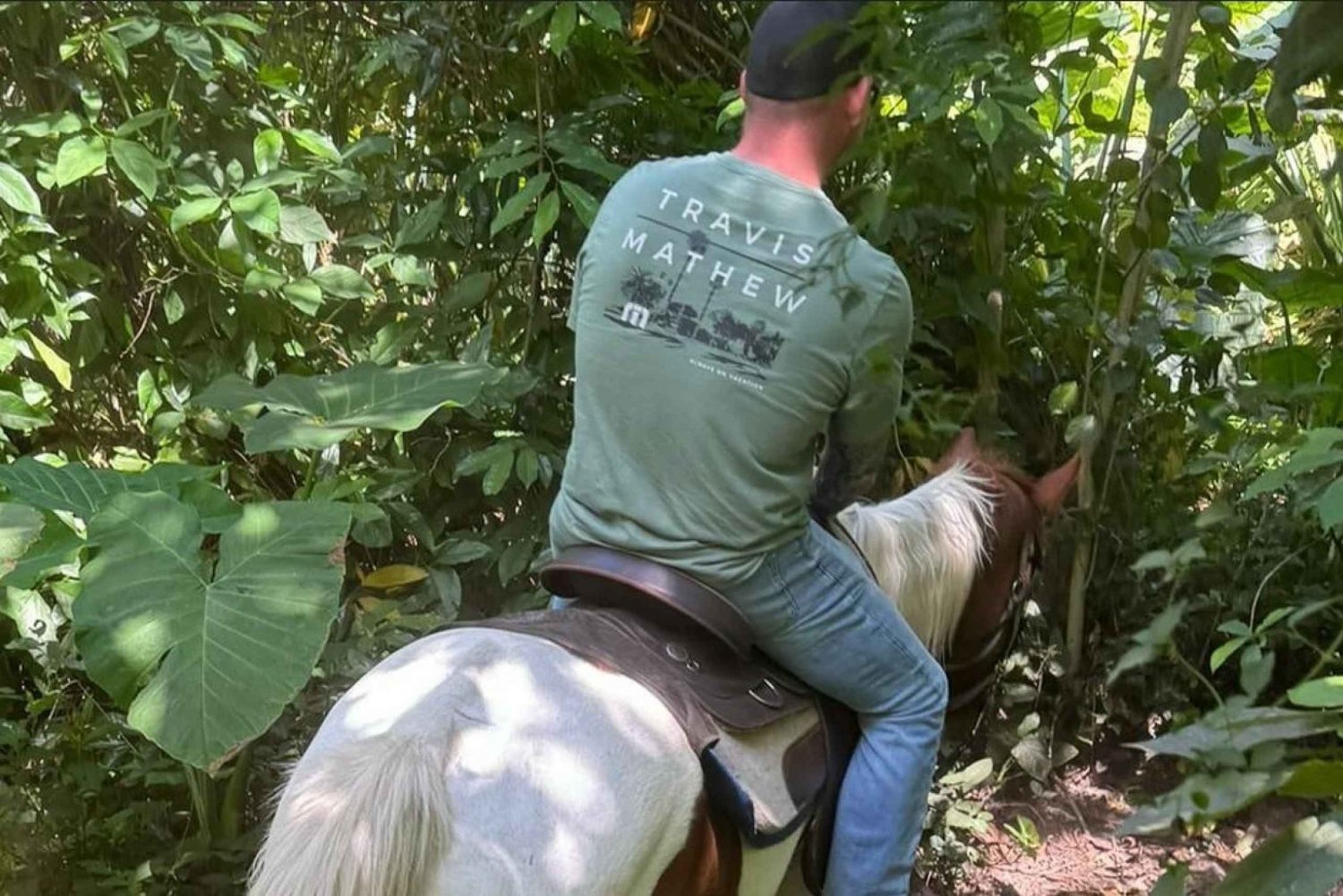 Harmony Horse Riding i Miami