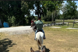 Harmony Horse Riding i Miami