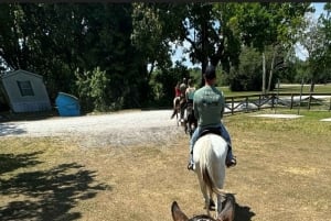 Harmony Horse Riding of Miami