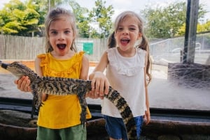 Homestead: Entrada a la granja de caimanes de los Everglades y paseo en hidrodeslizador