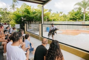 Homestead: Entrada a la granja de caimanes de los Everglades y paseo en hidrodeslizador