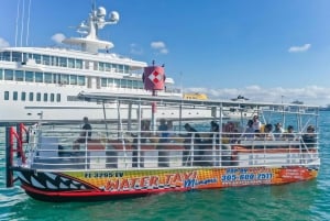 Hop-on Hop-off Watertaxi in Miami en Miami Beach