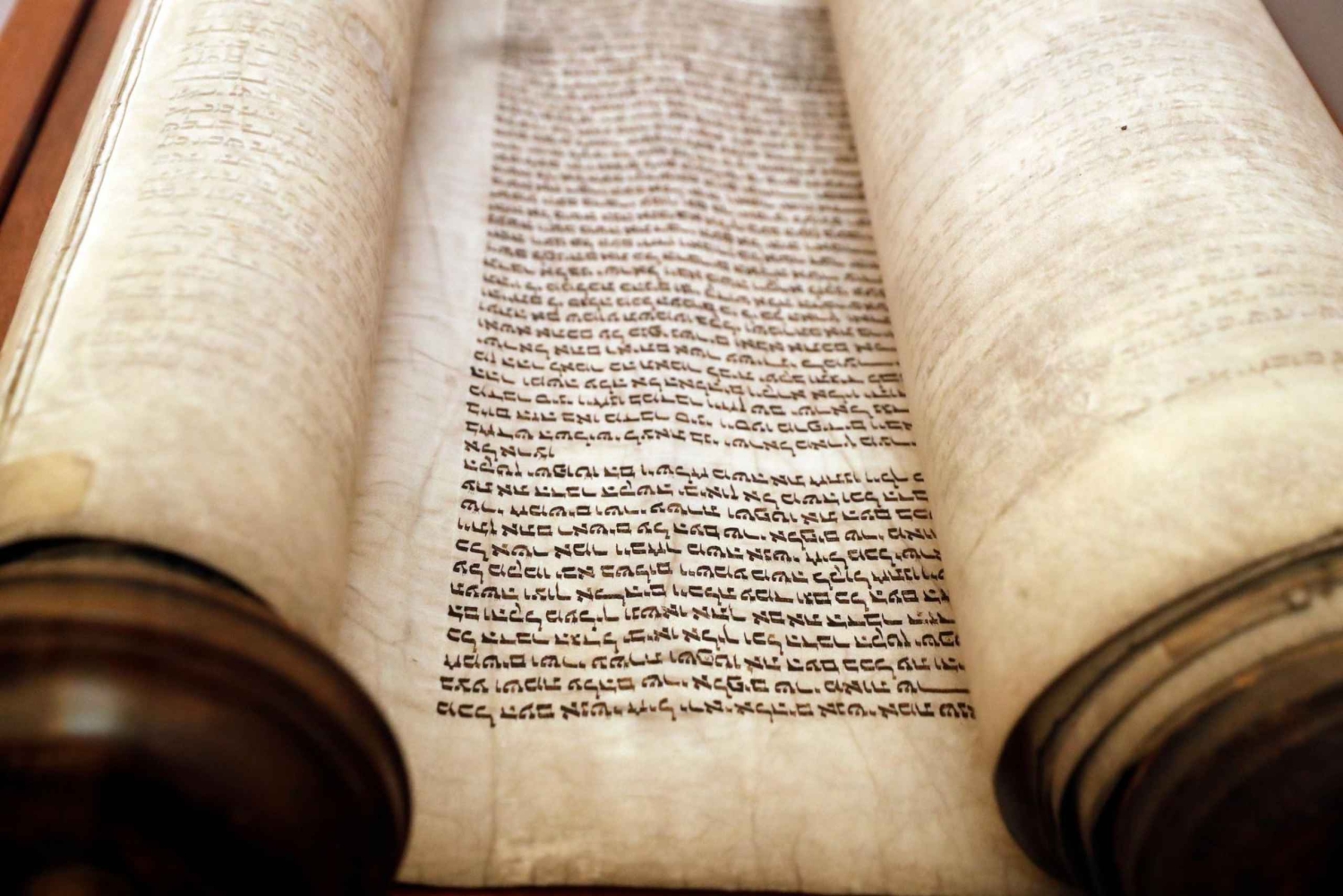 Sitios judíos Tour guiado a pie privado por la historia de Miami