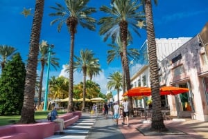 Jewish Sites Miami History Private Guided Walking Tour