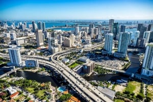 Jewish Sites Miami History Private Guided Walking Tour