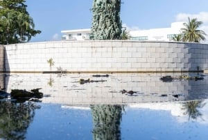 Sitios judíos Tour guiado a pie privado por la historia de Miami