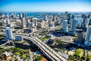 Sitios judíos Tour guiado a pie privado por la historia de Miami