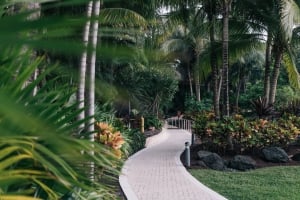 Best Hotels in Miami