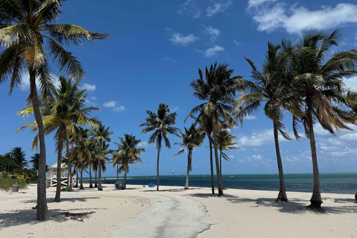 Key Biscayne: selvguidet el-sykkeltur
