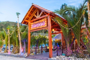 Avventura a Key West: Escursione in giornata da Miami al Paradiso! ☀️