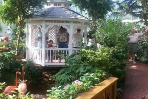 Avventura a Key West: Escursione in giornata da Miami al Paradiso! ☀️