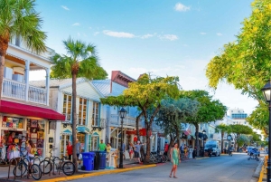 Aventura en Cayo Hueso: ¡Excursión de un día desde Miami al Paraíso! ☀️