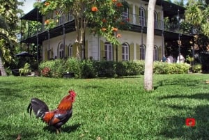 Key West: Self-Guided Ocean Breeze Driving Adventure