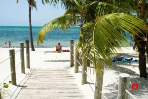 Key West: Samodzielna przygoda z jazdą samochodem Ocean Breeze