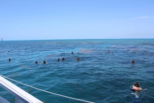 Passeio em Key West e mergulho com snorkel em recifes de coral com open bar