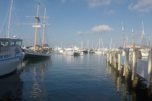 Passeio em Key West e mergulho com snorkel em recifes de coral com open bar