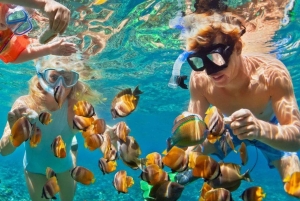 Excursión a Cayo Hueso y Esnórquel en Arrecife de Coral con Barra Libre