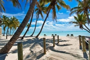 Excursión a Cayo Hueso y Esnórquel en Arrecife de Coral con Barra Libre