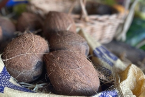 Little Havana: degustacja cygar i rumu