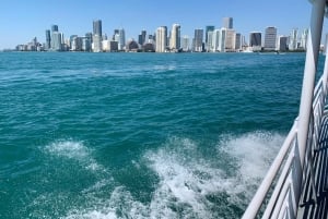 LOKALEN BETALEN $5 Miami Beach van & naar Downtown Miami Rondvaart