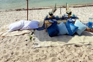 Luksuriøs strandpiknikopplevelse i nærheten av Miami