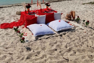 Luksuriøs strandpiknikopplevelse i nærheten av Miami