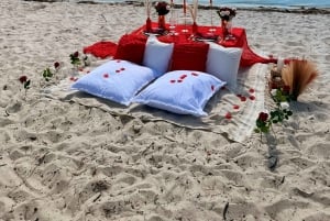 Esperienza di picnic di lusso sulla spiaggia vicino a Miami