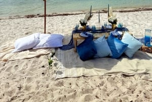 Esperienza di picnic di lusso sulla spiaggia vicino a Miami