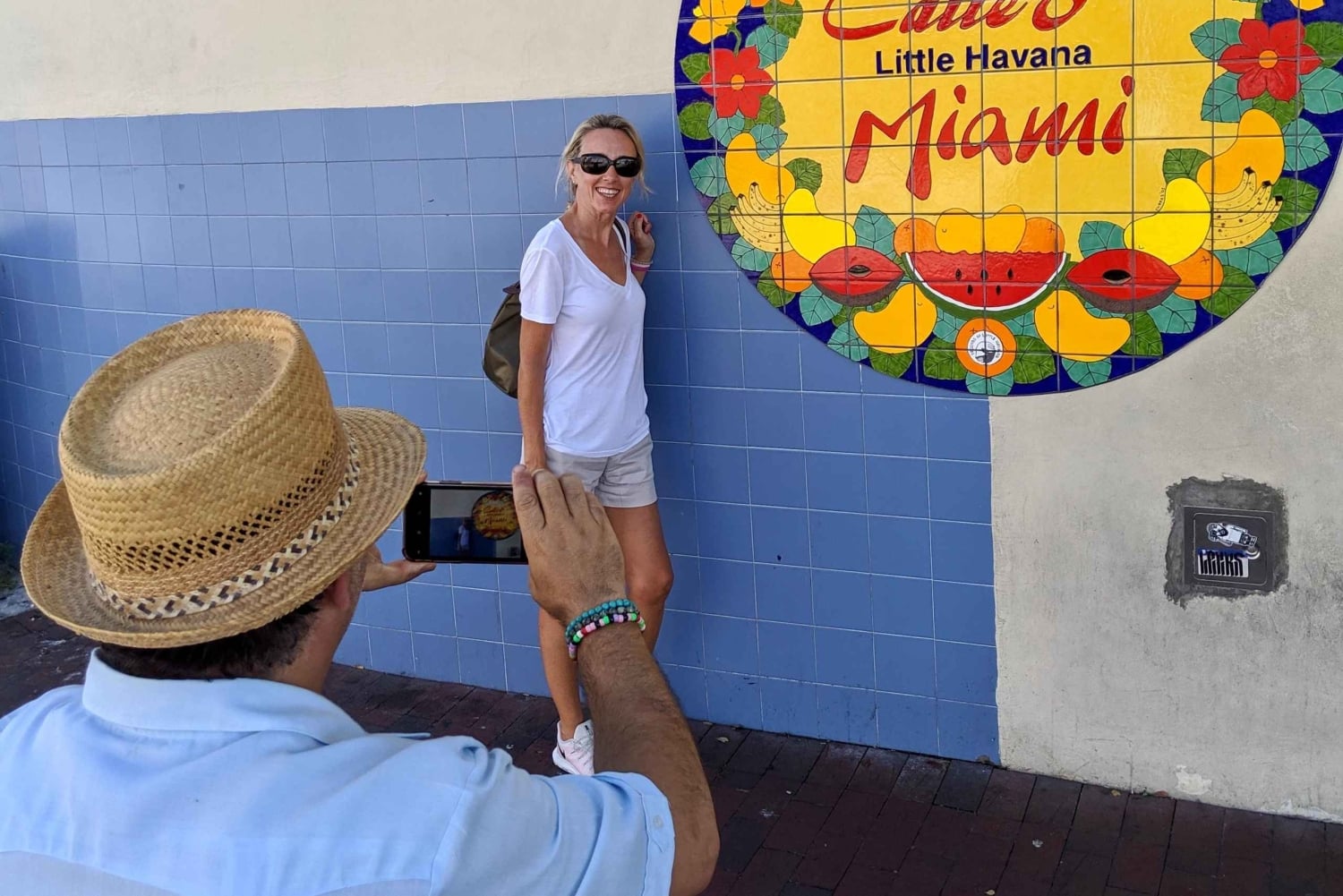 Visita de medio día a Miami de Lujo más Vizcaya y Coral Gables