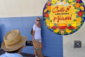 Luksus Miami pluss Vizcaya og Coral Gables halvdagstur