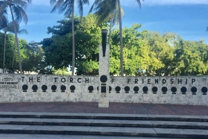 Visita de medio día a Miami de Lujo más Vizcaya y Coral Gables