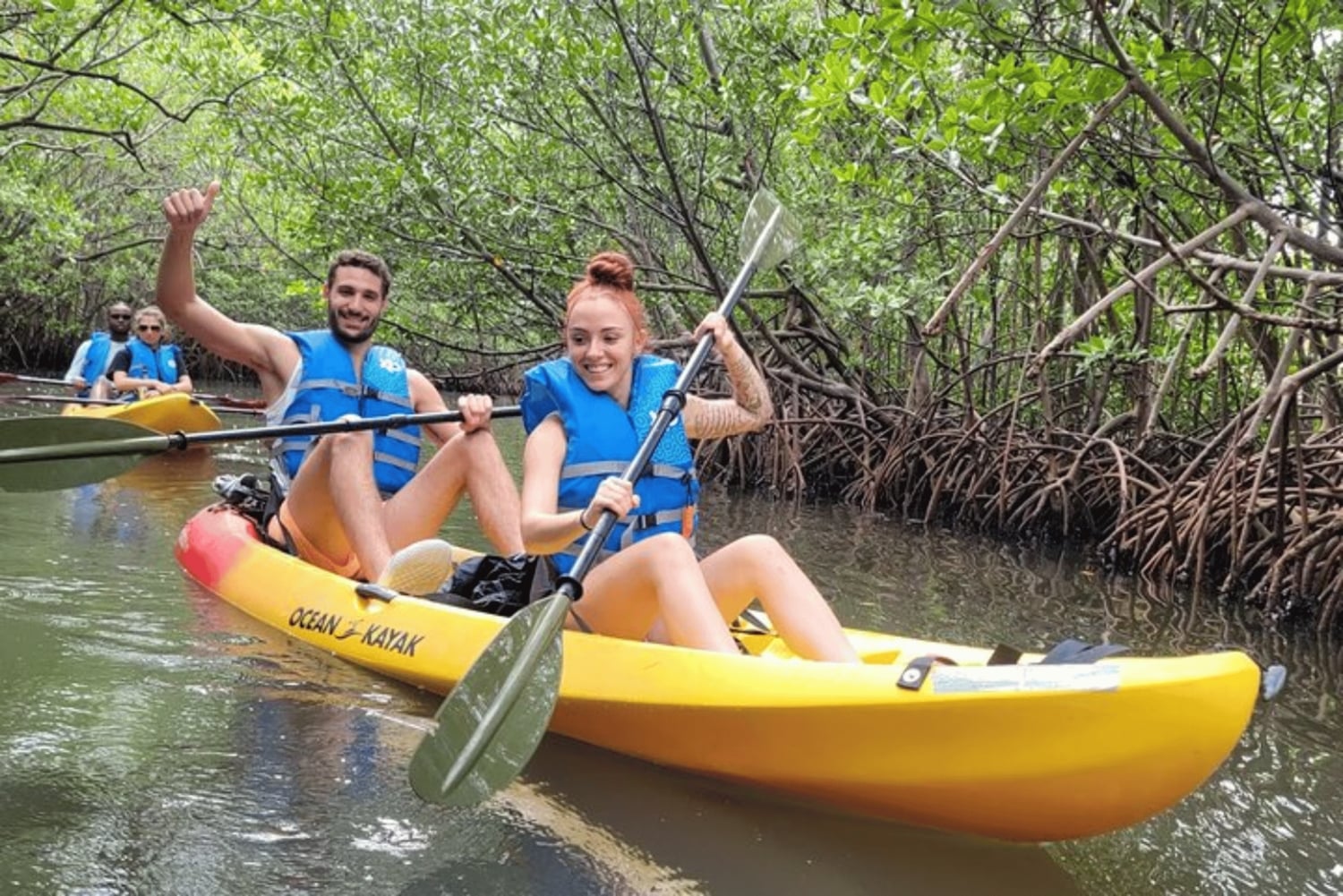 Mangrove Jungle exploration on SUP/Kayak