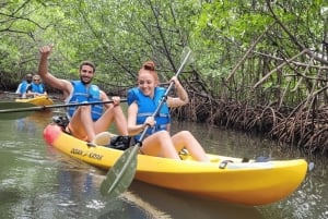 Mangrove Jungle exploration on SUP/Kayak