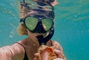 Snorkel com sereia e sessão de vídeo - West Palm Beach