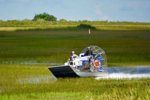 Miami: Pequeña excursión en hidrodeslizador por la vida salvaje del Río de Hierba de los Everglades