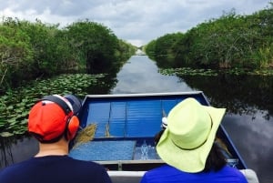 Miami: Pequeña excursión en hidrodeslizador por la vida salvaje del Río de Hierba de los Everglades