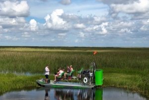 Miami: Pequeña excursión en hidrodeslizador por la vida salvaje del Río de Hierba de los Everglades