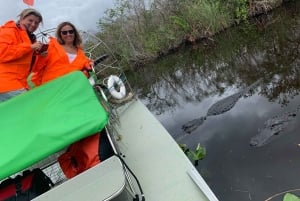 Miami: Pequeña excursión en hidrodeslizador por la vida salvaje del Río de Hierba de los Everglades