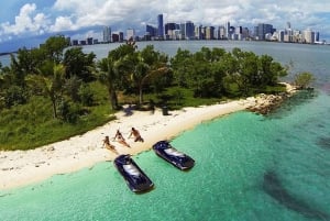 Miami: 1-Hour Jet Ski City Tour
