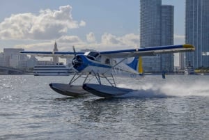 Miami: 1-Hour Skyline and Beaches Seaplane Tour