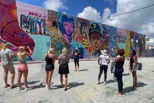 Miami: 2 giorni di triplo Combo (tour della città, tour in battello e tour delle Everglades)