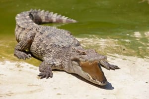 Miami: 2 dagen driedubbele Combo (Stad, rondvaart & Everglades Tour)