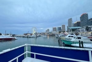 Miami: 2 dagar trippel Combo (Stad, guidad kryssning & Everglades Tour)