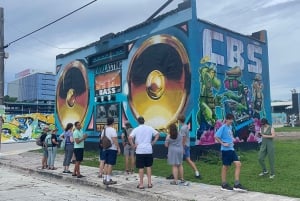 Miami: Combo triple de 2 días (Ciudad, crucero y visita a los Everglades)